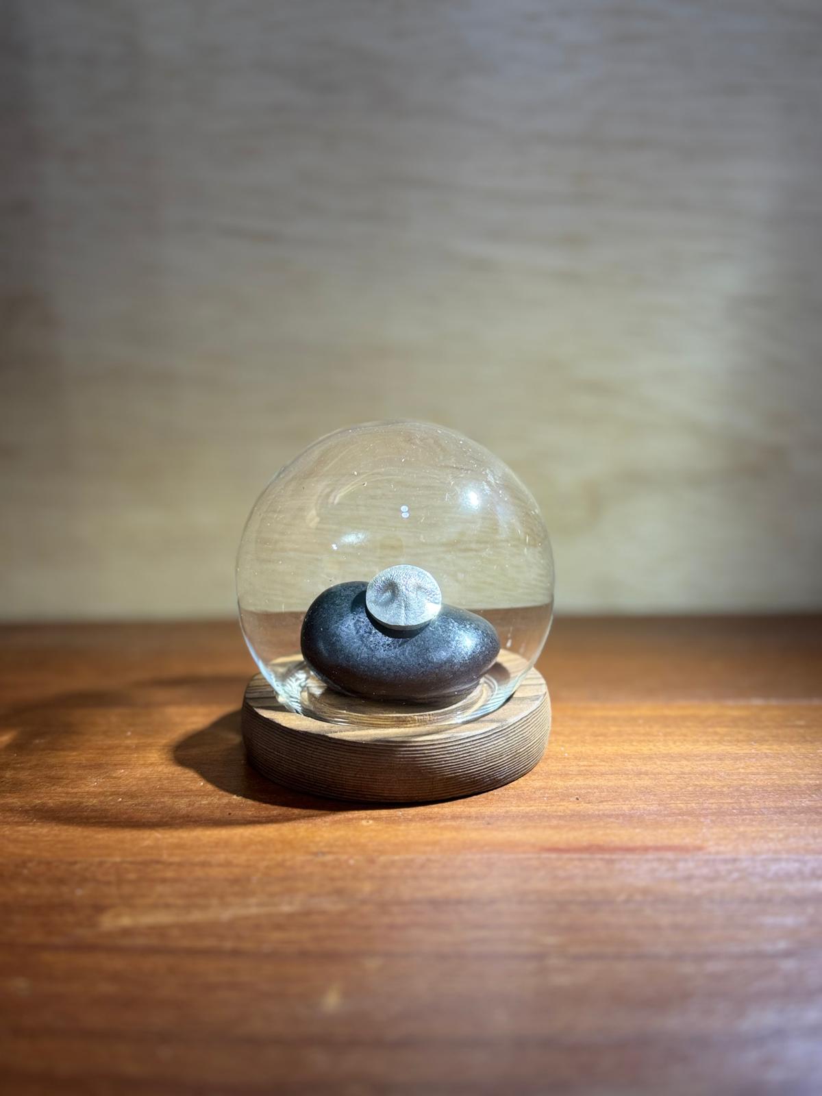 Wooden base display with nose-print keepsake